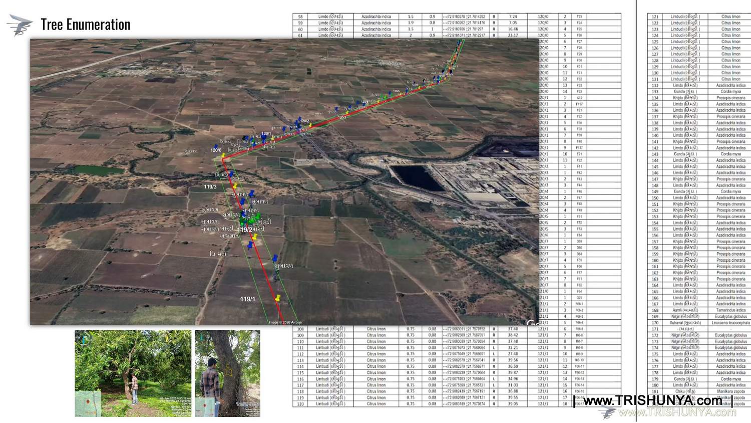 Power Transmission Line Survey — Project Photo 23